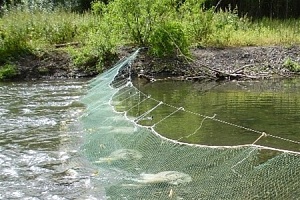 возврат долгов